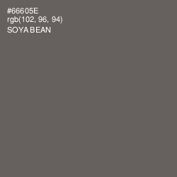 #66605E - Soya Bean Color Image